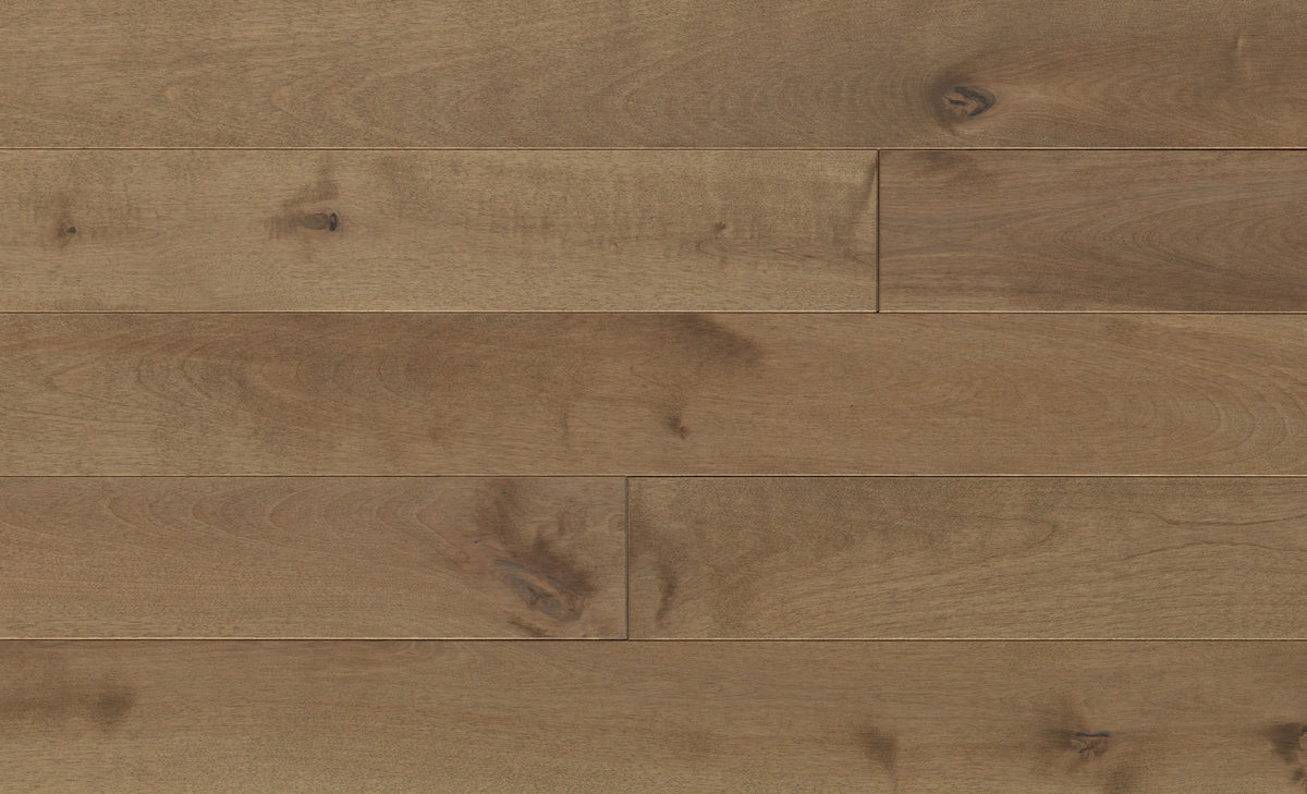 Merisier Palomino grade Millrun 3 1/4