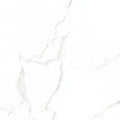 Delicato Mat 12x24