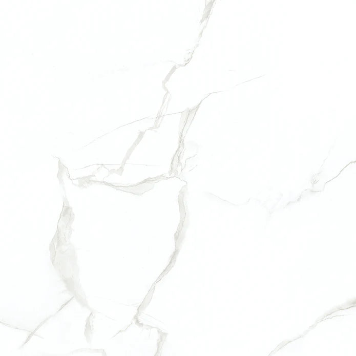 Delicato Mat 12x24