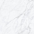 Carrara 24x48