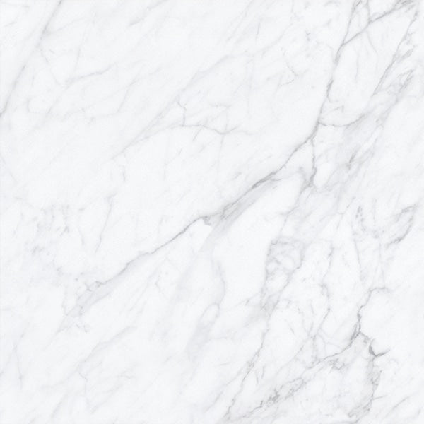Carrara 24x48