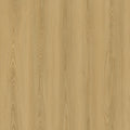 Evolution Serie Rise  Corvi