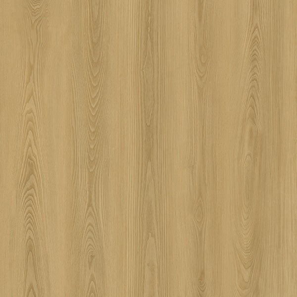 Evolution Serie Rise  Corvi