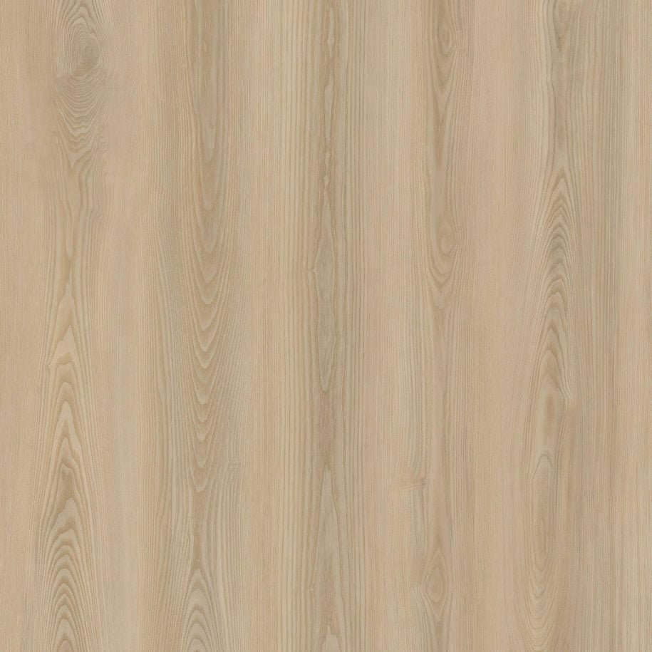 Evolution Origin  Raal